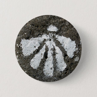 Botón de Shell de concha de peregrino