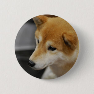 Botón de Shiba Inu