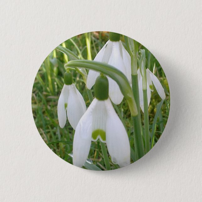 Botón de Snowdrops (Anverso)