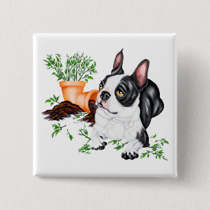 Botón de subida travieso de Boston Terrier