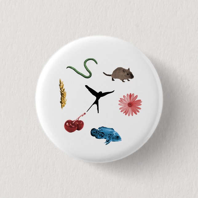 botón de tokens de todos los alimentos de Wingspan (Anverso)