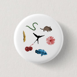 botón de tokens de todos los alimentos de Wingspan