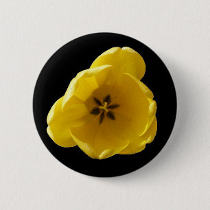 Botón de Tulipán Amarillo