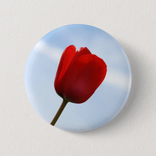 Botón de Tulipán Rojo