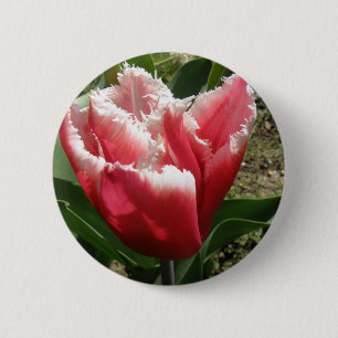 Botón de tulipán rosado