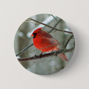 Botón de vida silvestre Cardenal Rojo (Hombres)
