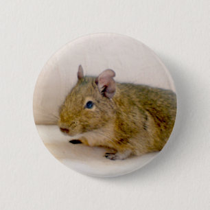 botón Degu