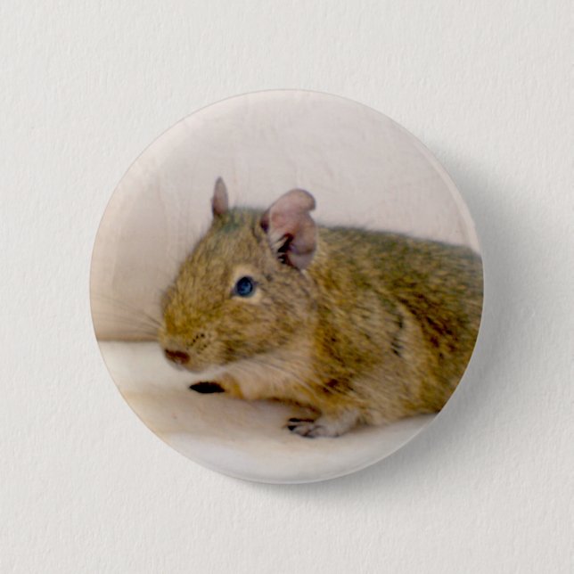 botón Degu (Anverso)