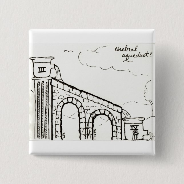 Botón del acueducto cerebral (Anverso)