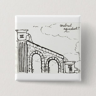 Botón del acueducto cerebral