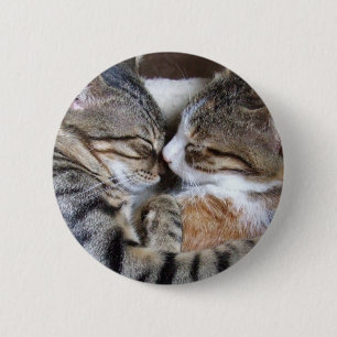 Botón del amor del gato