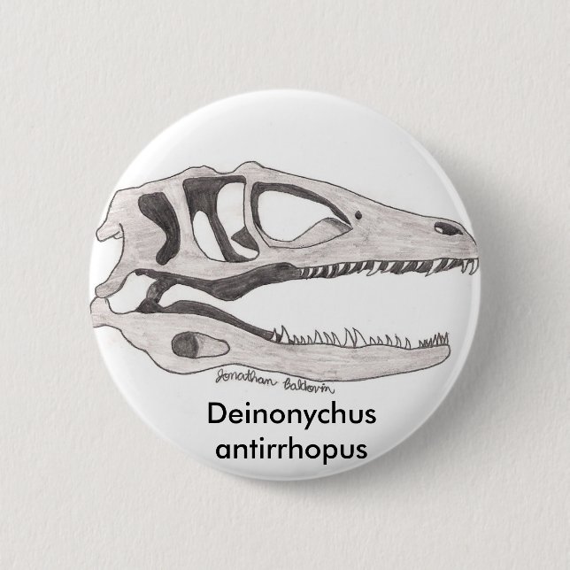 Botón del antirrhopus de Deinonychus (Anverso)