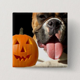 Botón del boxeador de Halloween