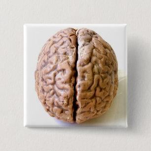 botón del cerebro