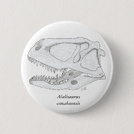 Botón del cráneo del comahuensis del Abelisaurus
