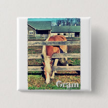 Botón del cuadrado de la edición de lujo del gramo