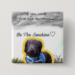 Botón del Dachshund