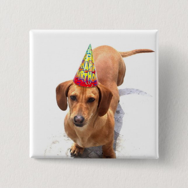 Botón del Dachshund del feliz cumpleaños (Anverso)