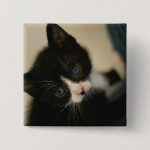 Botón del gatito de BW