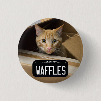 Botón del gatito de las galletas