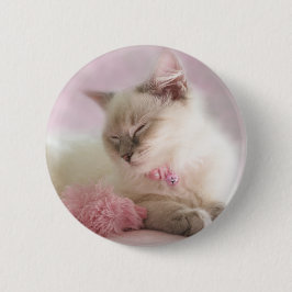 botón del gatito del ragdoll