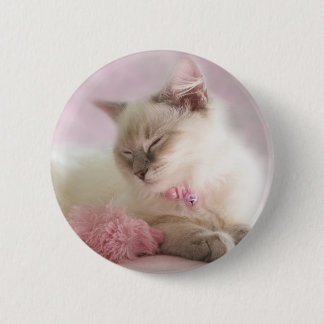 botón del gatito del ragdoll