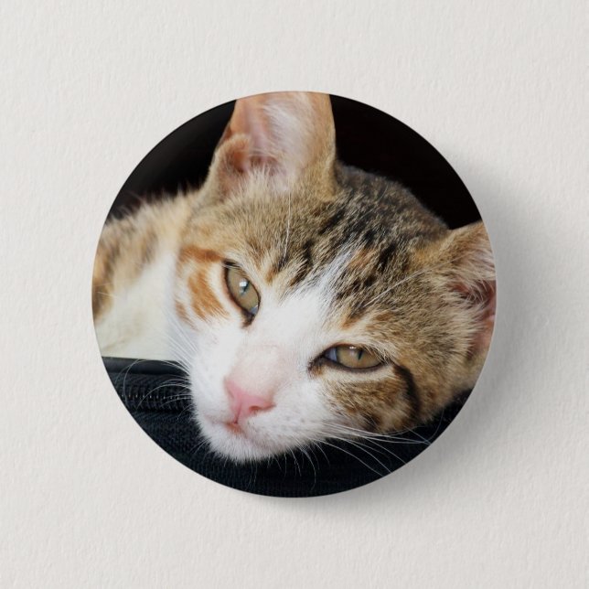 Botón del gato de Cleo (Anverso)