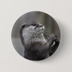 Botón del genio de la nutria