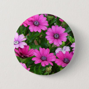 Botón del geranio de Cranesbill (flores rosadas)