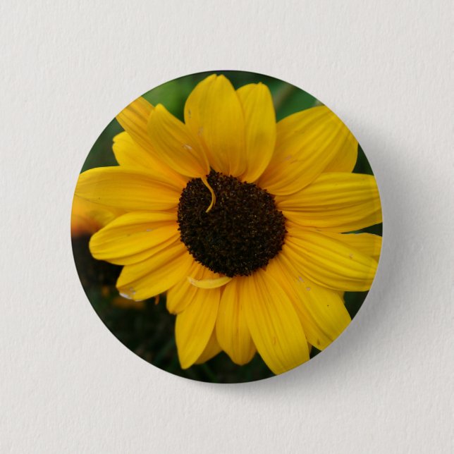 Botón del girasol (Anverso)