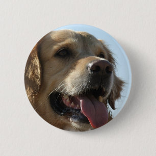 Botón del golden retriever