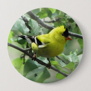 Botón del Goldfinch
