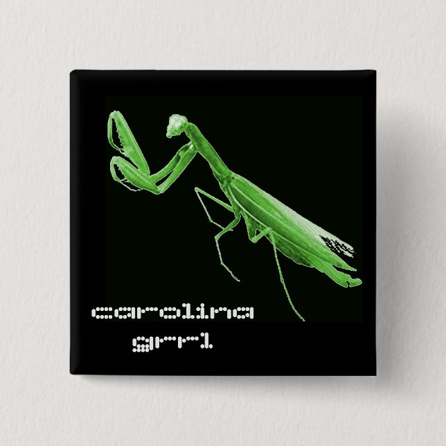 Botón del insecto del estado de Carolina Grrl (Anverso)