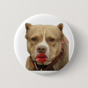 Botón del lápiz labial de Pitbull que lleva