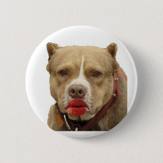 Botón del lápiz labial de Pitbull que lleva