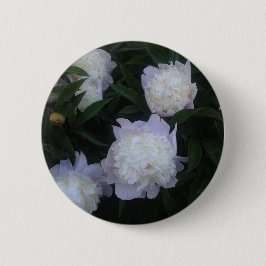 Botón del Peony