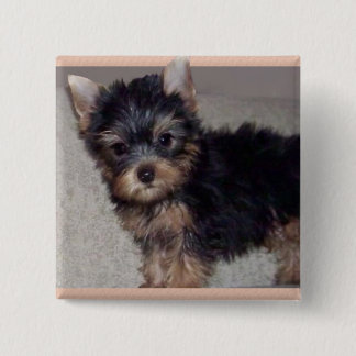 Botón del perrito de Yorkshire Terrier