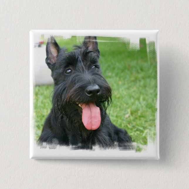 Botón del perro de Terrier del escocés (Anverso)