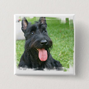 Botón del perro de Terrier del escocés