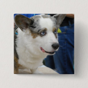 Botón del perro del Corgi Galés de la rebeca