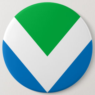 Botón del pin del distintivo de la bandera del ve