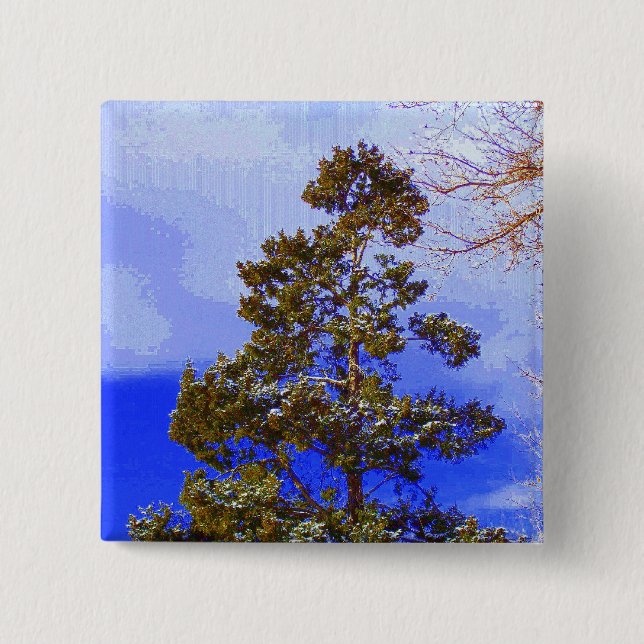 Botón del pino del invierno (Anverso)