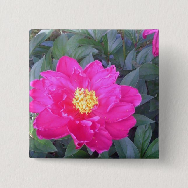 Botón del rosa 3 (Anverso)