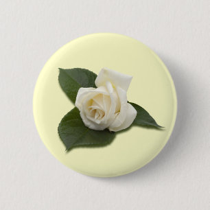 Botón del rosa blanco
