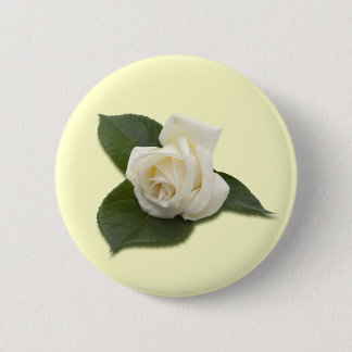 Botón del rosa blanco
