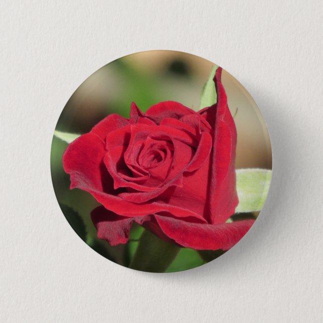 Botón del rosa rojo (Anverso)