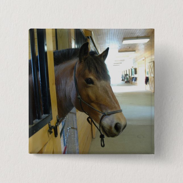 Botón del titán (Anverso)