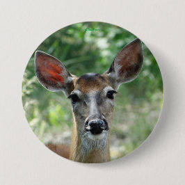 botón Doe de ciervo de cola blanca D33