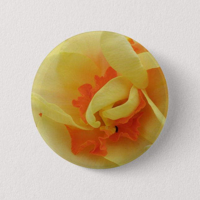 botón Fancy Daffodil (Anverso)