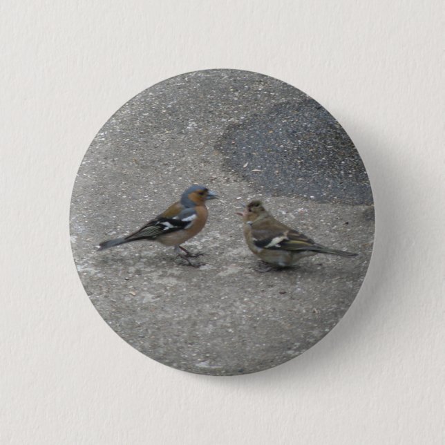 botón Feed Me Chaffinch (Anverso)